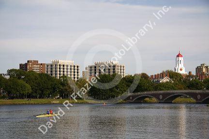 Rowing on the Charles River and Harvard University buildings in Cambridge, Greater Boston, Massachusetts, USA.