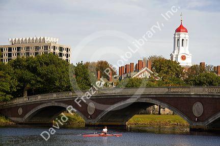 Rowing on the Charles River and Harvard University buildings in Cambridge, Greater Boston, Massachusetts, USA.