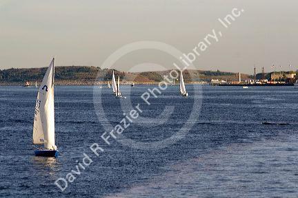 Sailboat in Boston Harbor, Boston, Massachusetts, USA.