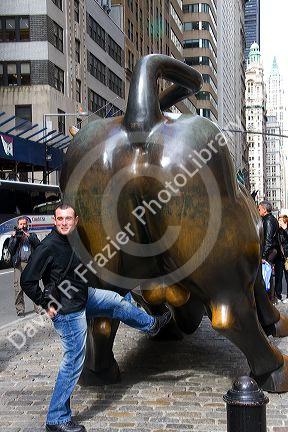 Man having his photo taken with the Wall Street Bull in Bowling Green park near Wall Street, New York City, New York, USA.