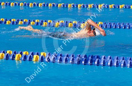 Male teen swimmer swimming laps in a competition.