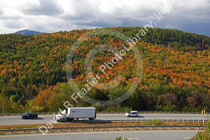 Fall foliage along interstate 89 in Sullivan County, New Hampshire, USA.