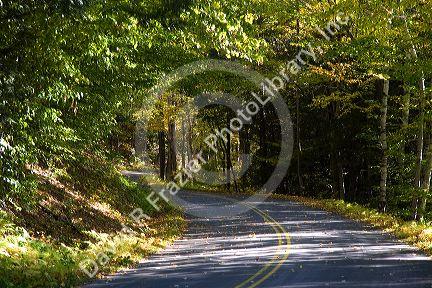 Fall foliage in the White Mountain National Forest, Grafton County, New Hampshire, USA.