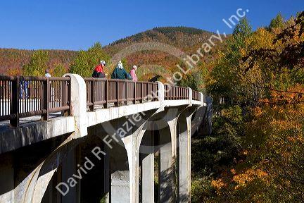 People on a bridge in Franconia Notch State Park, New Hampshire.