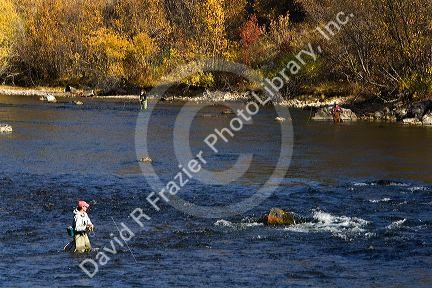 Fly fishing on the south fork of the Boise River in Elmore County, Idaho, USA.