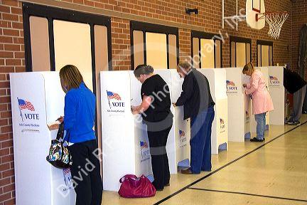 Voters using cardboard voting booths at a polling station in Boise, Idaho, USA.