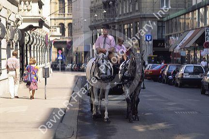 Horse and carriage on the street in Vienna, Austria.