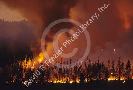 Cub Creek forest fire near Lowman, Idaho.