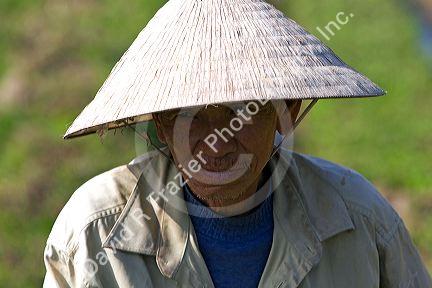 Vietnamese farmer near Hue, Vietnam.