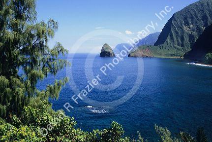 Rugged coast on the island of Molokai, Hawaii.
