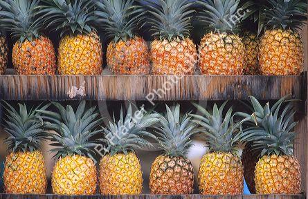 A pineapple display in Hawaii.