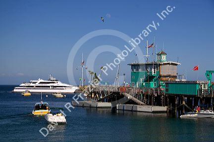 The Green Pier in Avalon Harbor on Catalina Island, California, USA.