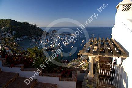 Avalon Harbor on Catalina Island, California, USA.