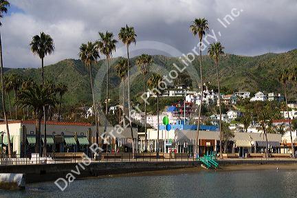 Downtown Avalon on Catalina Island, California, USA.