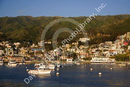 Mornling light on Avalon Harbor and Catalina Island, California, USA.