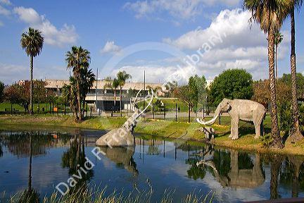 Models of mammoths at the La Brea Tar Pits in Hancock Park, Los Angeles, California, USA.