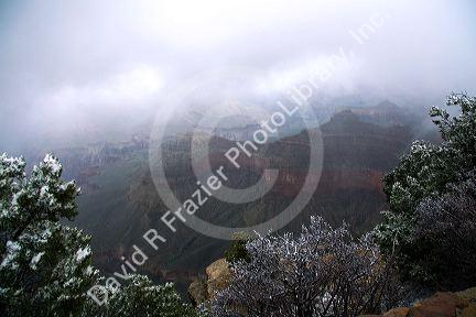 Snow storm at the South Rim of the Grand Canyon, Arizona, USA.