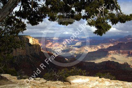 South Rim view of the Grand Canyon, Arizona, USA.
