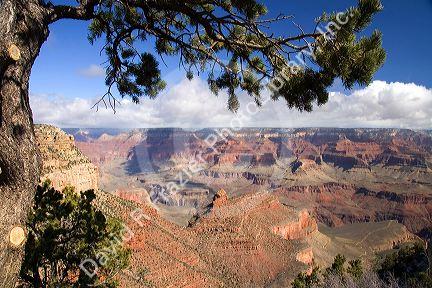 South Rim view of the Grand Canyon, Arizona, USA.