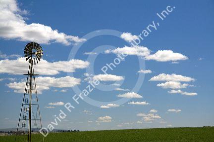 Windmill on a farm in Canyon County, Idaho, USA.