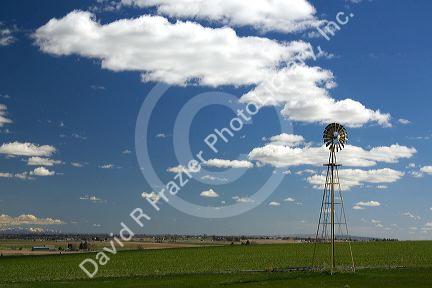 Windmill on a farm in Canyon County, Idaho, USA.
