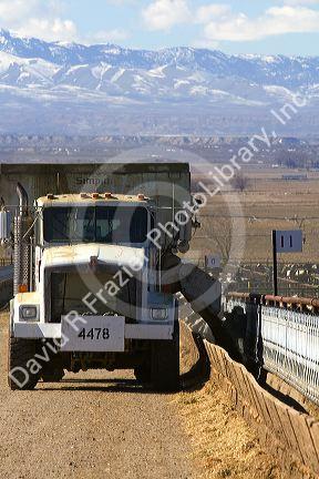 Truck dumping feed ration to cattle on a feedlot in Grand View, Idaho, USA.