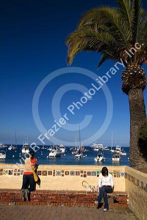 View of Avalon Harbor on Catalina Island, California, USA.