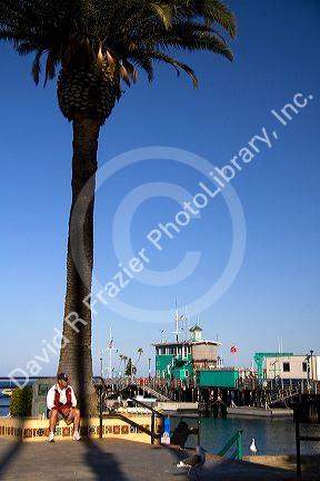 The Green Pier in Avalon Harbor on Catalina Island, California, USA.