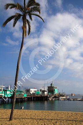 The Green Pier in Avalon Harbor on Catalina Island, California, USA.