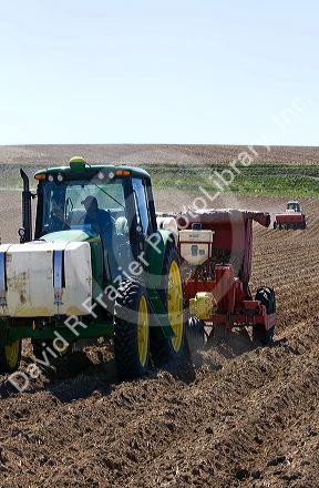Farmer planting potato crop in Canyon County, Idaho, USA.