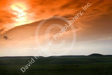 Konza Prairie Biological Station is a preserve of native tallgrass prairie in the Flint Hills of northeastern Kansas, USA.