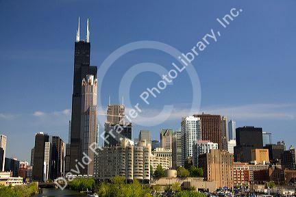 Willis Tower formerly known as the Sears Tower located along the Chicago River in Chicago, Illinois, USA.