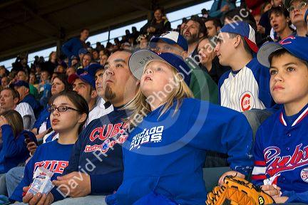 Chicago Cubs fans at Wrigley Field in Chicago, Illinois, USA.