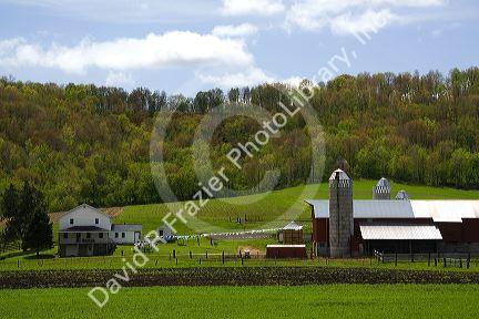 Amish farm in Monroe County, Wisconsin, USA.