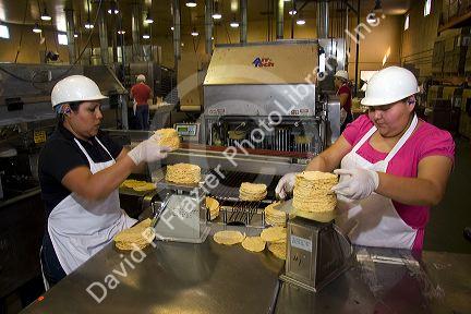 Corn tortilla processing factory located in Caldwell, Idaho, USA.