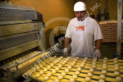 Corn tortilla processing factory located in Caldwell, Idaho, USA. 