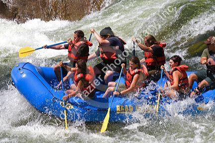 Whitewater rafting the main Payette River in southwestern Idaho, USA.