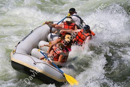 Whitewater rafting the main Payette River in southwestern Idaho, USA.