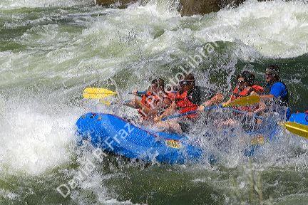 Whitewater rafting the main Payette River in southwestern Idaho, USA.