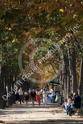 Pedestrians walk on tree shaded sidewalks along the Avenue des Champs-Elysees in Paris, France.