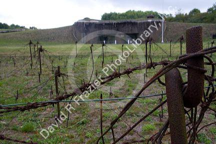 Barbed wire entanglement on the Maginot Line in Alsace, northeast France.