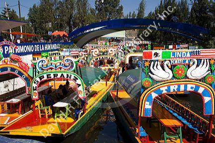 Colorful trajineras travel on the Xochimilco canals within Mexico City, Mexico.