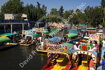 Colorful trajineras travel on the Xochimilco canals within Mexico City, Mexico.