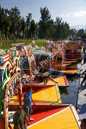 Colorful trajineras travel on the Xochimilco canals within Mexico City, Mexico.