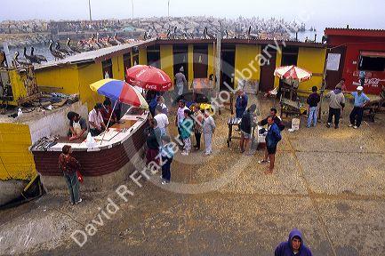 Fish market at, Concon, Valparaiso, Chile.