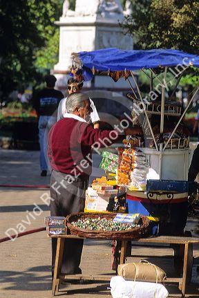 Street vendor in Santiago, Chile.