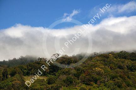 The edge of the Cordillera de Tilaran mountain range at Monteverde, Costa Rica.