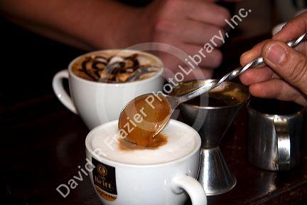 Barista making coffee drinks with tourists at the Britt coffee bar in San Rafael de Heredia, Costa Rica.