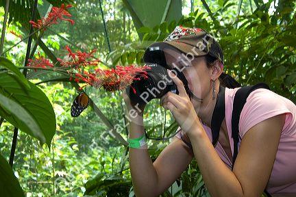 Tourists taking photos of butterflies in the Veragua Rainforest Research and Adventure Park near Limon, Costa Rica.