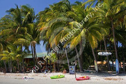 Surf school at Playa Samara, Costa Rica.